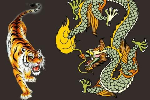 绿绿草原任马行，龙争虎斗不分离打一正确生肖仔细释义、解释与落实、详细解答解释落实